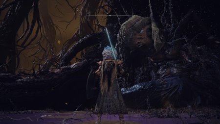 Elden ring shadow of the erdtree