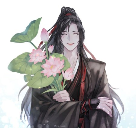 Магистр дьявольского культа вэй усянь