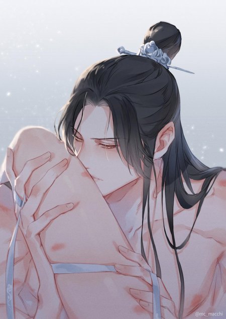 Магистр дьявольского культа вэй у сянь и лань чжань