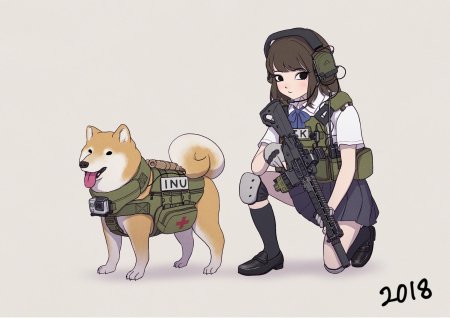 Милитари тактикал герлз аниме