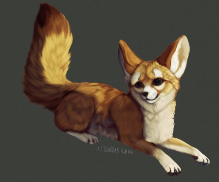 Фенек фокс арт