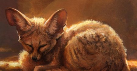 Пустынная лиса фенек