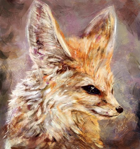 Фенек лисичка