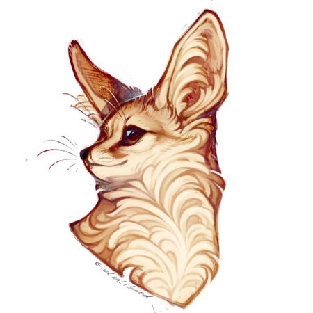 Фенек фокс арт