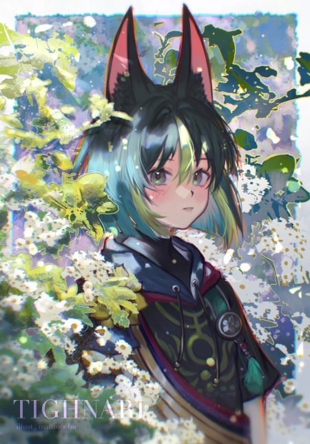 Shirakami геншин