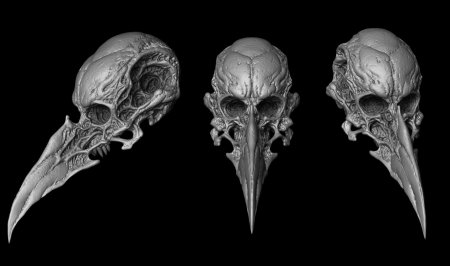 Череп ворона