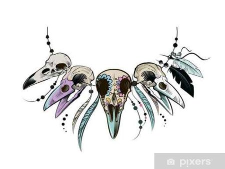 Черепа птиц