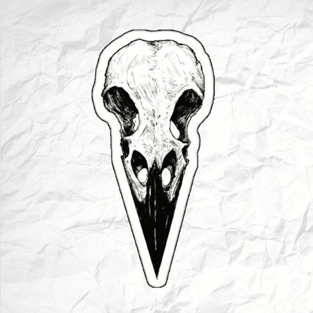 Черепа птиц