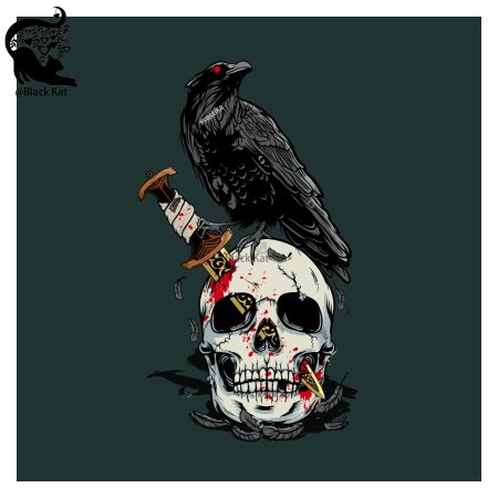 Ворон на черепе