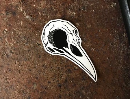 Череп ворона