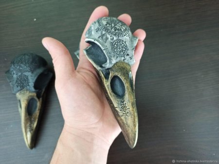 Черепа птиц