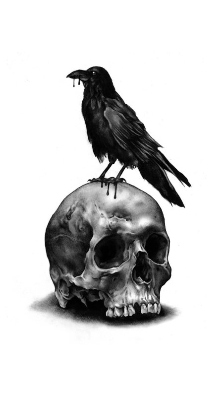 Ворон на черепе