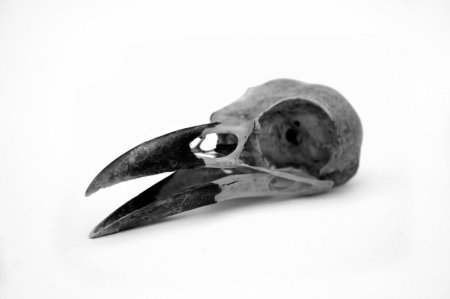 Вороний череп