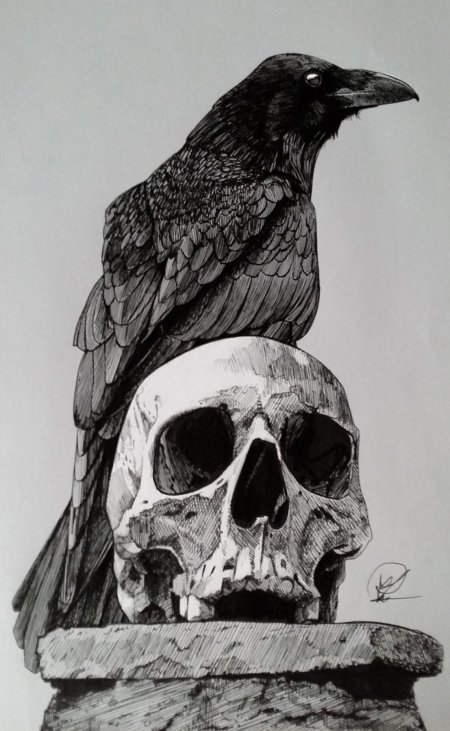 Тату ворон на черепе