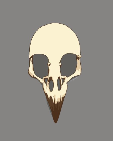 Кости череп