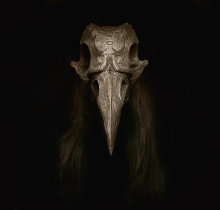 Plague doctor mask