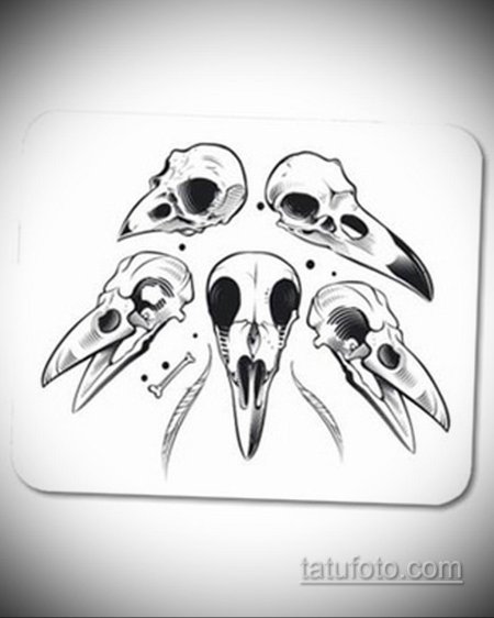 Череп ворона тату