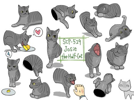 Scp 529 полукошка