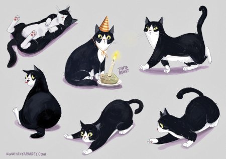 Иллюстрация кошка