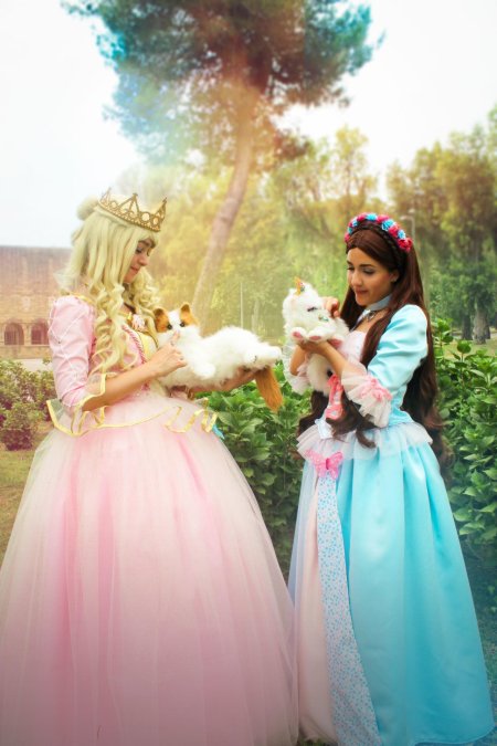 Анна луиза принцесса и нищенка косплей