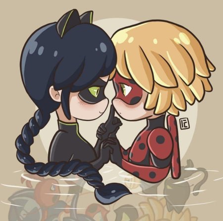 Леди баг и супер кот шиппы