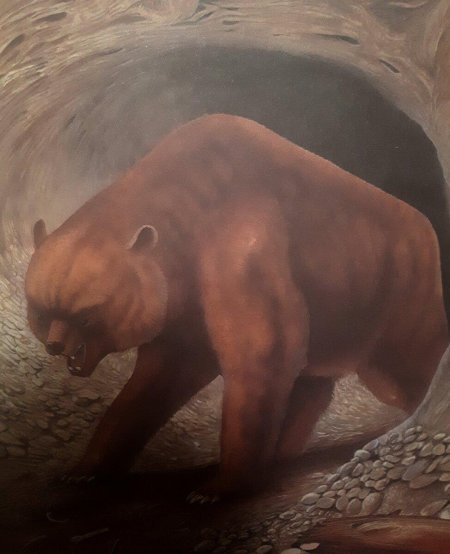 Флоридский пещерный медведь