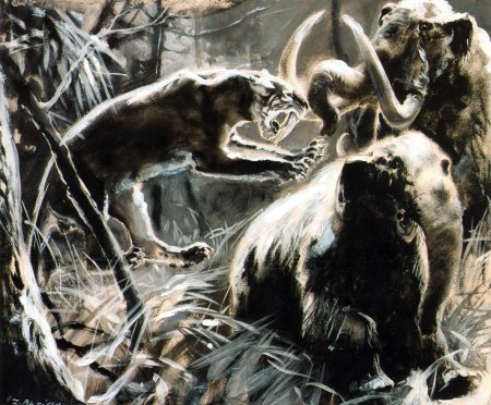 Зденек буриан