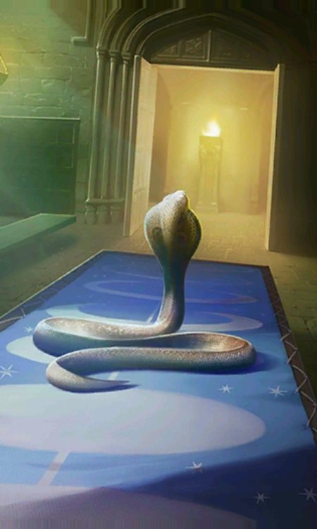 Иллюстрации гарри поттер