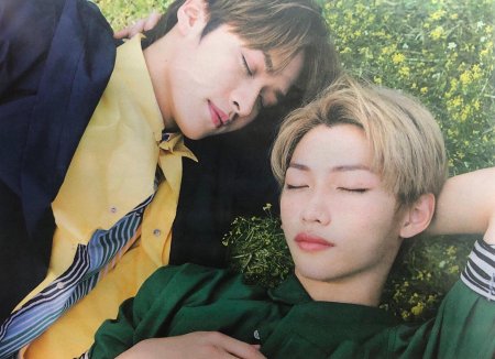 Минликсы stray kids