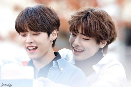 Ян чонин и минхо