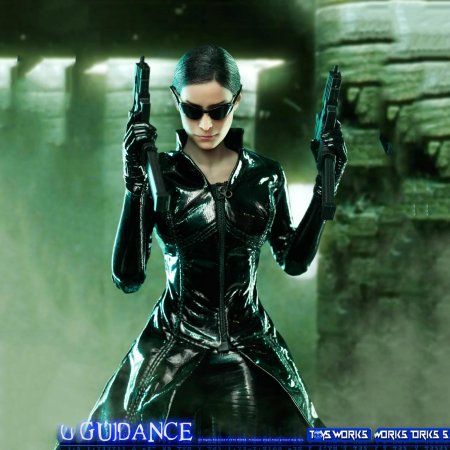 Кэрри энн мосс матрица 1999