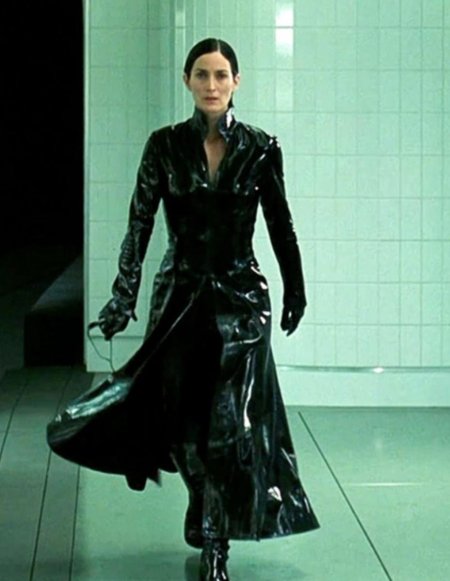 Кэрри энн мосс матрица