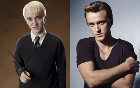 Драко малфой фелтон том сейчас