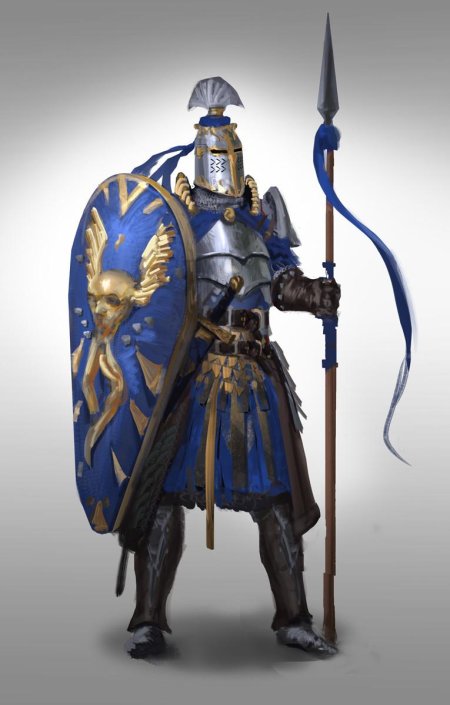 Рыцари средневековья паладин