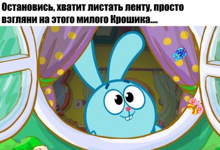 Кроша из смешариков