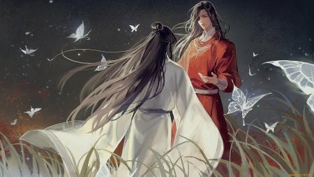 Благословение небожителей се лянь