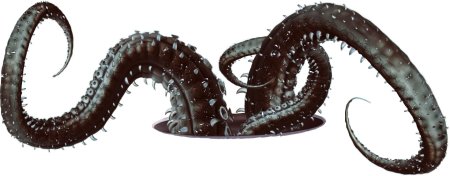 Щупальца осьминога