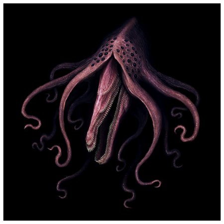 Осьминог щупальца