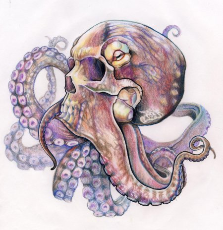 Осьминог арт