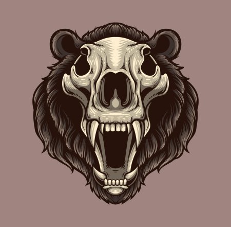 Медведь анатомия