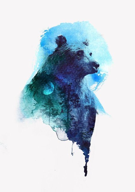 Медведь эскиз акварель