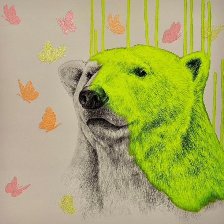 Медведь иллюстрация