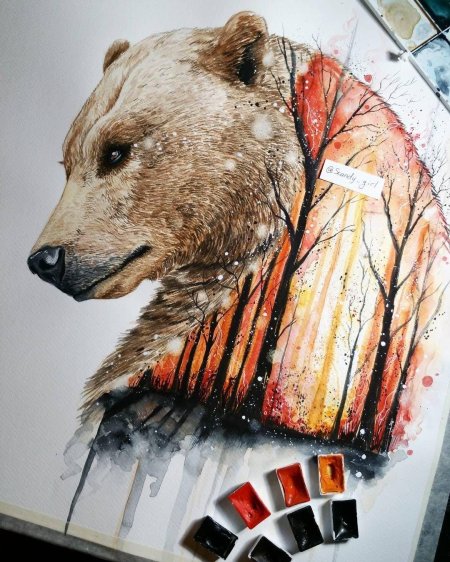 Медведь акварель