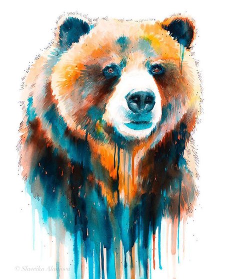 Медведь акварель