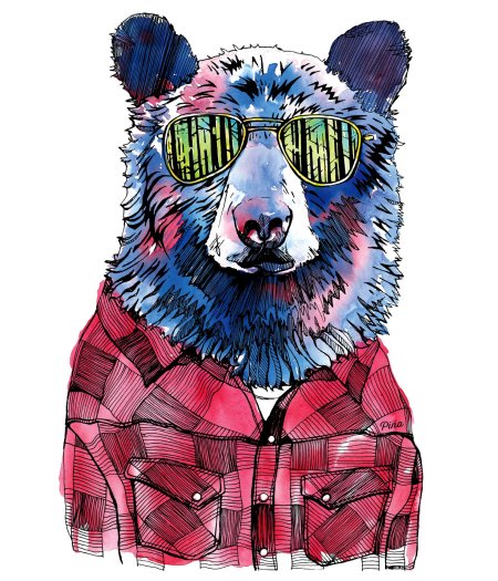 Медведь в одежде