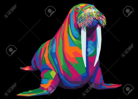 Рисунки моржа