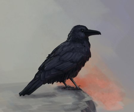 Ворона ворон