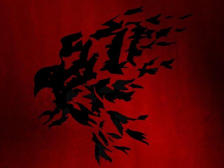 Вороны много