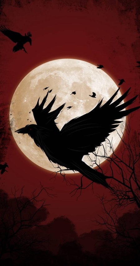 Мрачный ворон