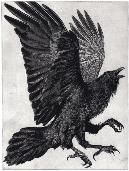 Трёхлапая ворона ятагарасу